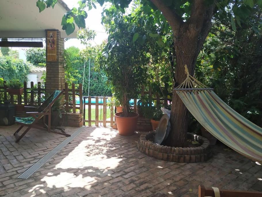 Dormir Entre Limones, Casa De Invitados En Vivienda Familiar Dos Hermanas Extérieur photo