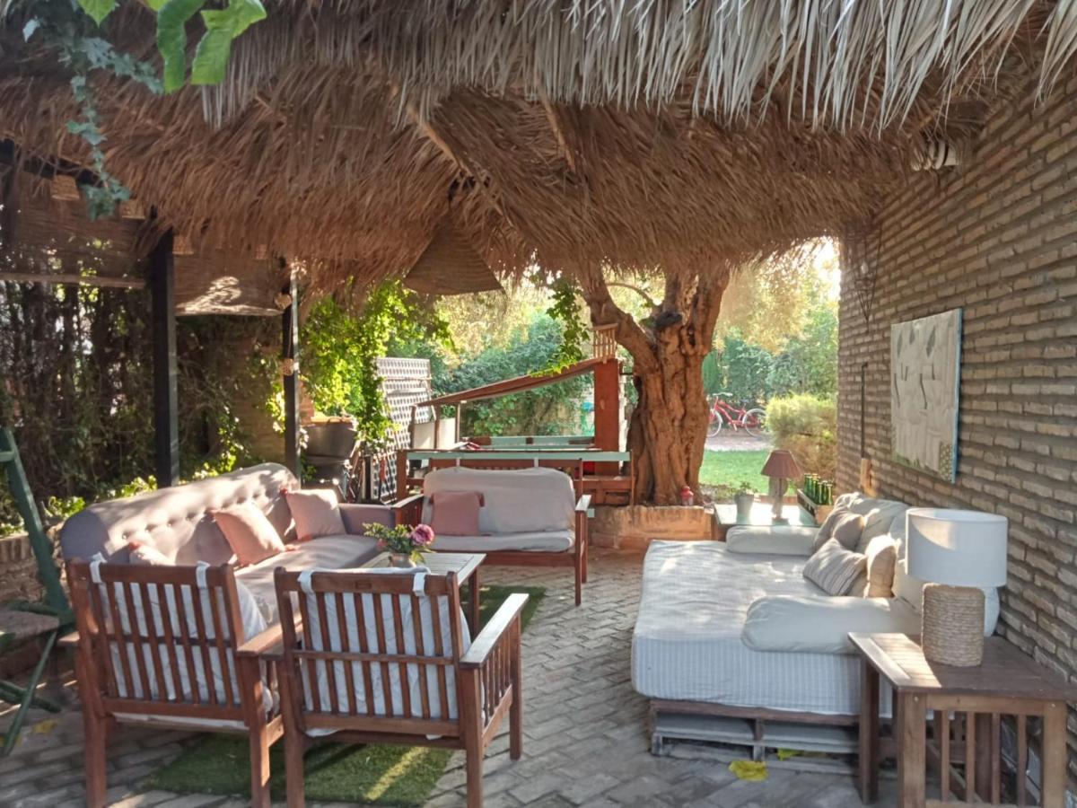 Dormir Entre Limones, Casa De Invitados En Vivienda Familiar Dos Hermanas Extérieur photo